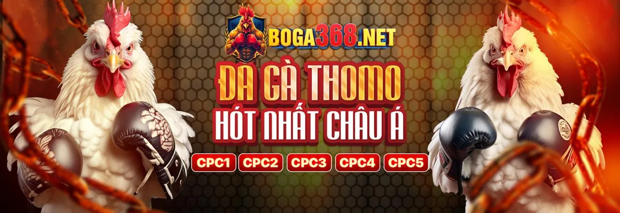 Đấu trường đá gà trực tuyến hàng đầu tại HU88
